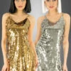 Disco Kleid Gold Oder Silber