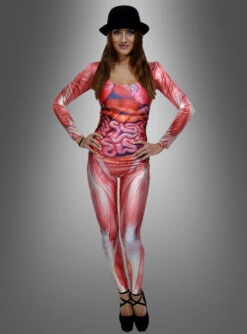 Catsuit Muskeln Und Organe