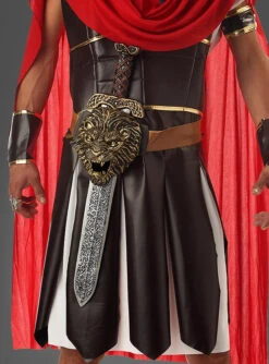 Römer Schwert Mit Gürtel 60cm